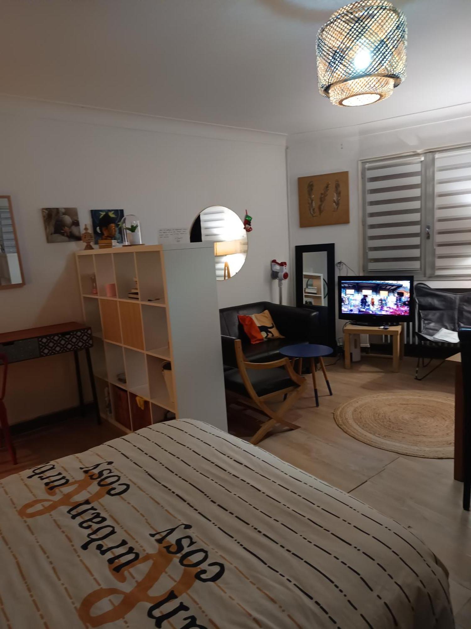 Hebergement Entier 20 M2 Toulouse Ngoại thất bức ảnh